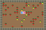 Daycare global state